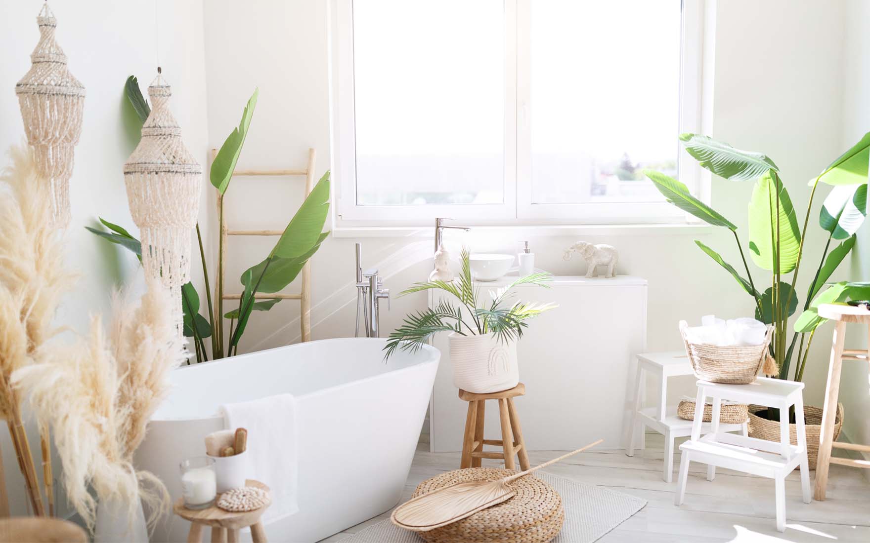 Rośliny do łazienki z oknem